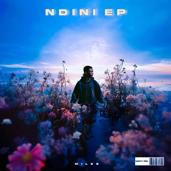 Ndini EP