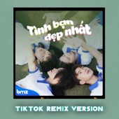 Tình Bạn Đẹp Nhất (TikTok Remix) artwork