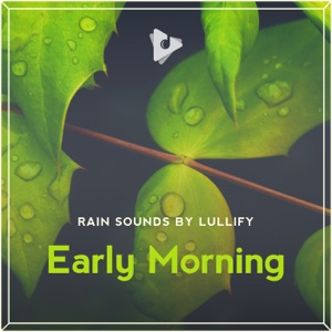 Early Morning