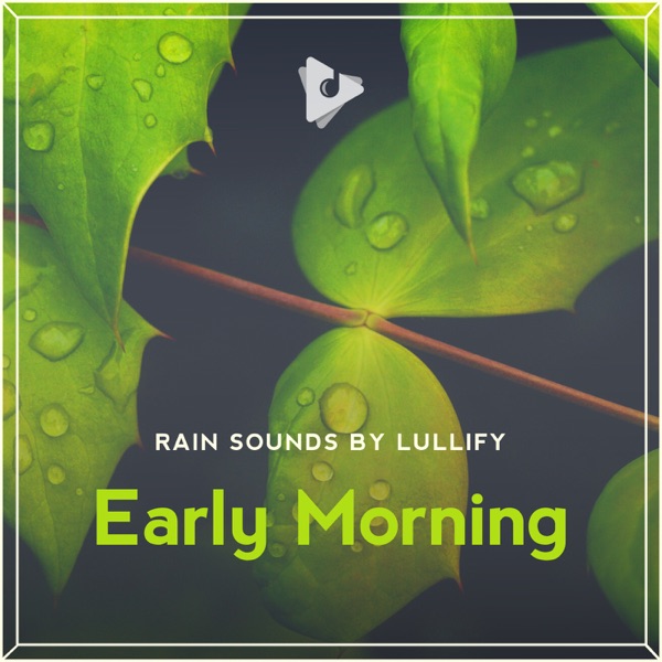 Early Morning