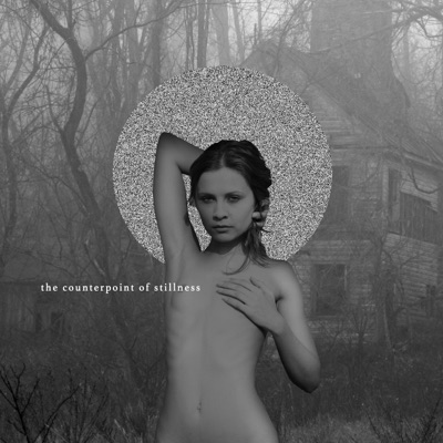 Counterpoint of Stillness - Single