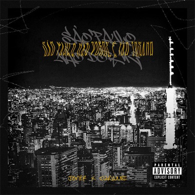 São Paulo Não Dorme É Tão Insano - Single