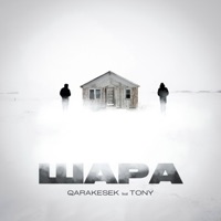 Шара (feat. TONY) - Single - QARAKESEK