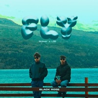 Fly (feat. Boker & LilB BRK) - Single - Black Rose