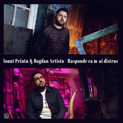Raspunde ca m-ai distrus (feat. Bogdan Artistu) - Single