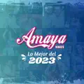 Amaya Hnos