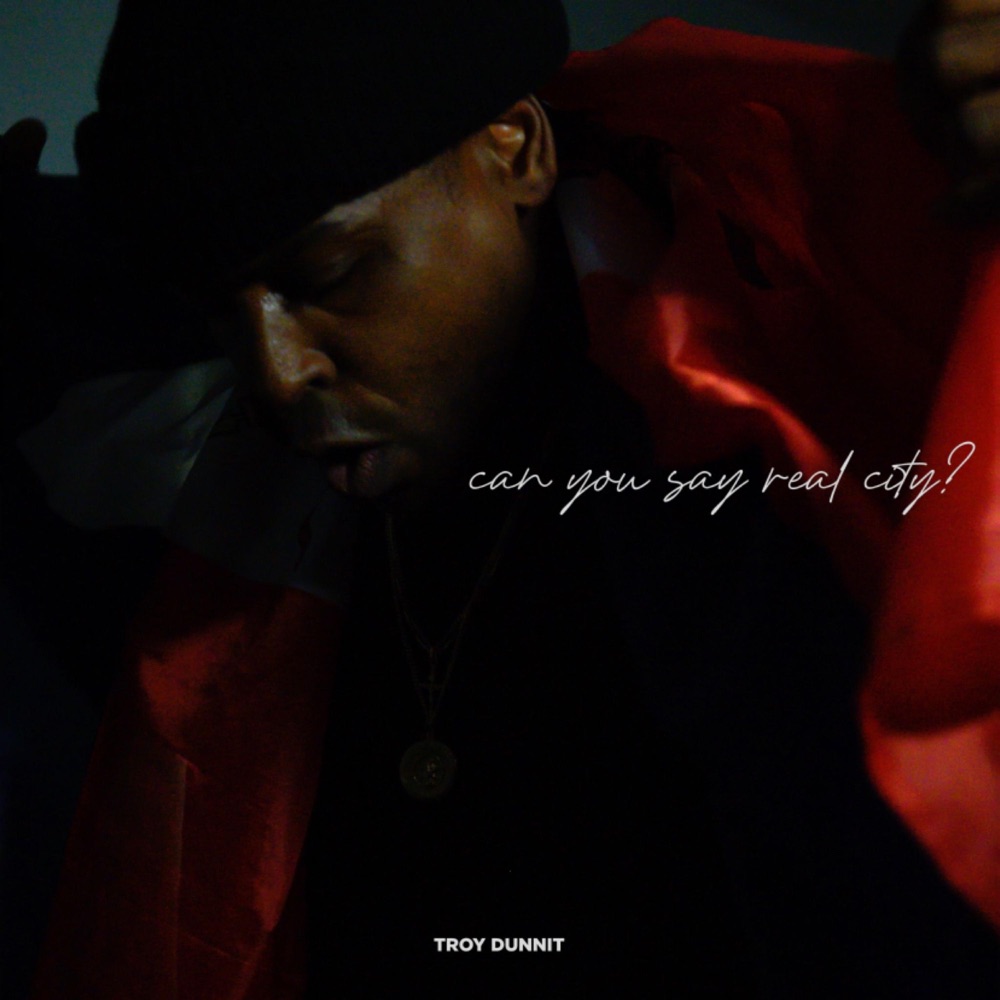 Обложка альбома «Can you say Real City?» — Troy Dunnit