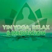 Yin Yoga, Relax & Meditation Pt.3 artwork