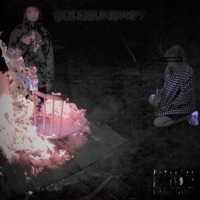 Punk Bitch - solesunswift