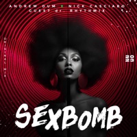 Sexbomb (feat. Nick Casciaro & dr. Rhythmix) - Single - Andrew Dum