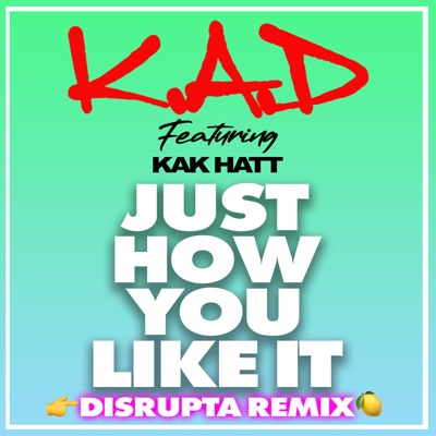 Just How You Like It (Disrupta Remix) [feat. Kak Hatt] - Single