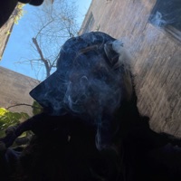 Out My Top - Single - DLC Buttaman