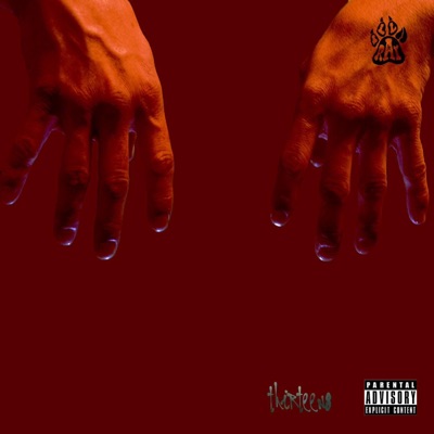 8 - Single