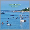 Jeito Baiano (feat. Octávio Américo, Marcelo Martins, Cassio Duarte & Victor Brasil) - Single