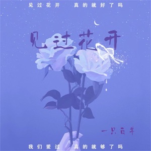 见过花开 (DJ阿卓版) - Single