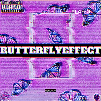 Butterfly Effect
