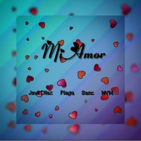 Mi Amor - Single - Javii Diiaz, NVM, Plaga & Sanz