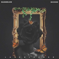 Late Bloomer - MaSheeLow & Big John