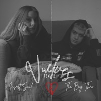 Vuelves (Remix) - Single - The Big Theo & Insert Soul