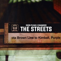 The Streets (feat. Shamgod) - Single - Ogún Pleas