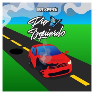 Pie Izquierdo