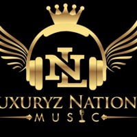 To Turnt Up - Single - Luxuriouz