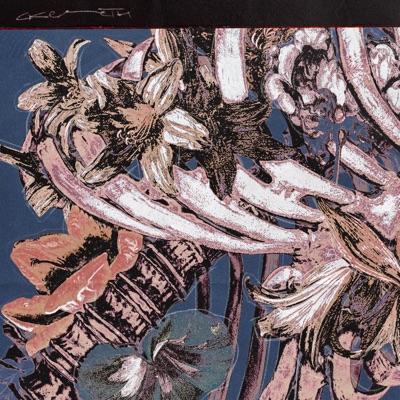 Скелеты - Single