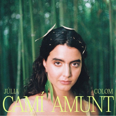 Camí Amunt - Single