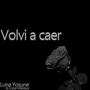 Volví a caer