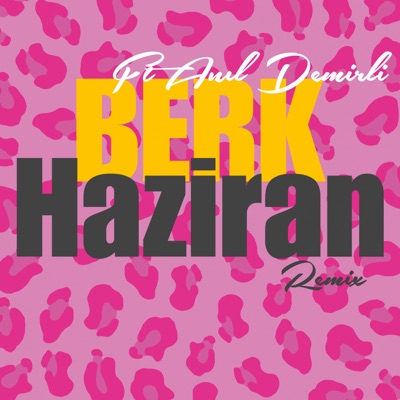 Haziran (Remix) - Single