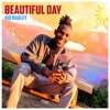 Beautiful Day - Single