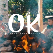OK (feat. Danger Boe & Faith 25) artwork