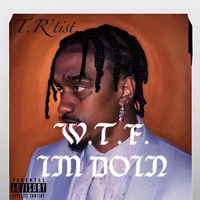 W.T.F. Im Doin - Single - T.R'tist