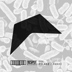 Awake