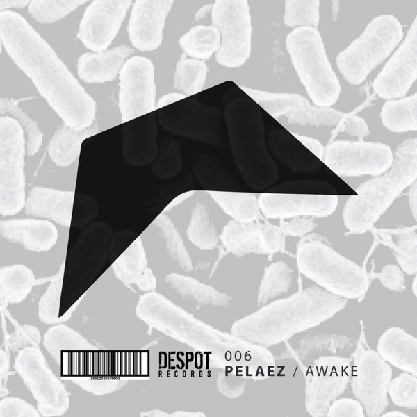 Awake
