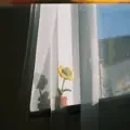 men seni taptym