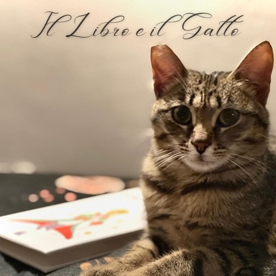 Il Libro e il Gatto - Single