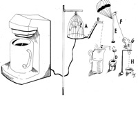 Easy (feat. Live! From the Basement) - Single - Sen Slaughter & Playmaker