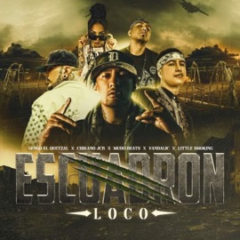 Escuadron Loco (feat. Little smoking & Mudo Beats) Ñengo El Quetzal, Vandalic & Chikano Jcr
