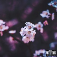 Never Felt So Lonely - Single - Double Lyrical