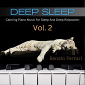 Deep Sleep: Calming Piano Music for Sleep And Deep Relaxation, Vol. 2 artwork