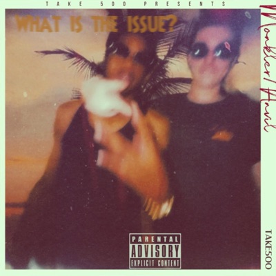 WHAT IS the ISSUE? (feat. Mike Anvil) - Single