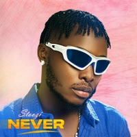 Never (Extended) - Single - Stoozi
