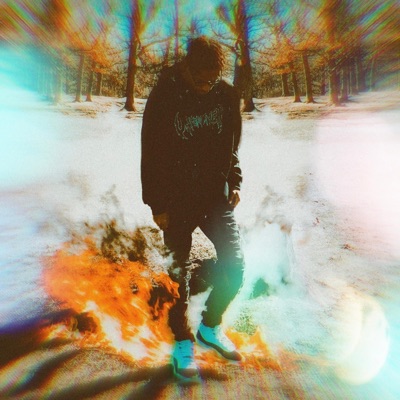 Into the Fire - EP