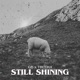 Still Shining Single