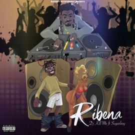 Ribena (feat. Sugarboy) DJ Kill Me