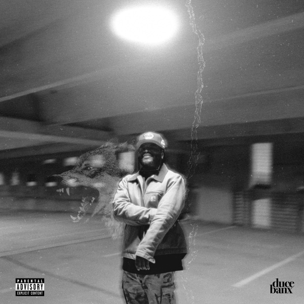Newzboy: The Lone Wolf