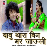 Babu Thara Bin Mar Jauli - Single - Shambhu Meena & Mamta Rangili