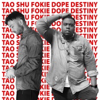 Destiny - Single - TAO SHU & Fokie Dope