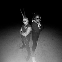 Polaroid (feat. BM Lil' Smurf) - Single - Tryp Flo